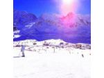 Alpino S.r.l.
