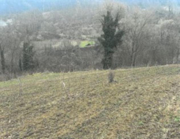 Immobile in asta di 12150 m² in vendita a Monastero Bormida - Foto 2