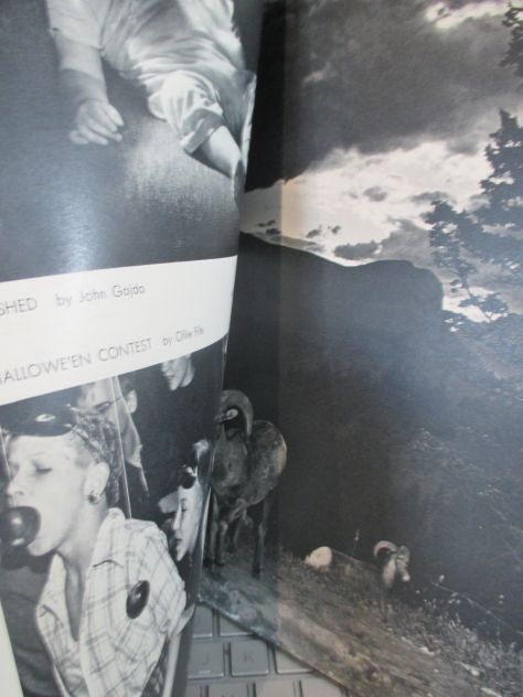 PHOTOGRAPHY annual, edizione1952 ,Lingua  Inglese. - Foto 4