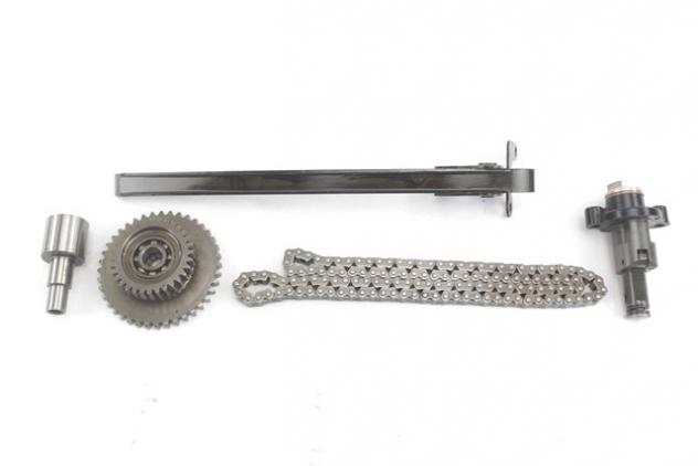 TRIUMPH BONNEVILLE T100 T1141620 T1140920 KIT CATENA TENDICATENA DISTRIBUZIONE 01 - 07 TIMING KIT