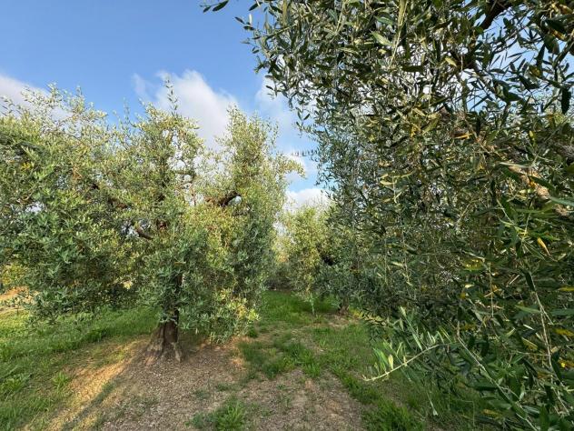 Terreno agricolo in vendita a Ripoli - Cascina 740 mq Rif: 1329214