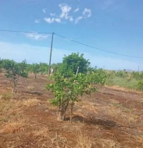 Immobile in asta di 8407 m² in vendita a Palagonia - Foto 7