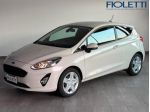 Ford Fiesta 7ª SERIE 1.1 75 CV 3 PORTE VAN TREND