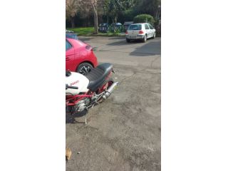 Motorino