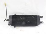 SUZUKI UC 125 EPICURO 1771021F00000 RADIATORE 99 - 03 WATER COOLER