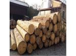 Bertoli Pietro Legnami Srl