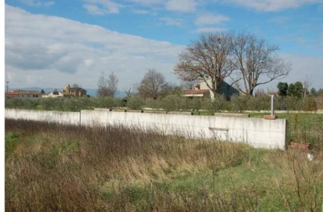 Immobile in asta di 6635 m² in vendita a Cannara - Foto 2
