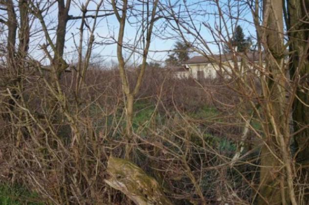 Immobile in asta di 3090 m² in vendita a Gazzuolo - Foto 2