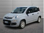 FIAT Panda 3ª serie 1.2 Easy