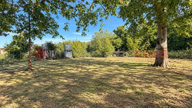 Terreno Agricolo - Torre Cajetani . Rif.: Cod. rif 3341716VCG - Foto 5