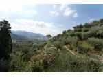 Villa in vendita a Monteggiori - Camaiore  Rif: 523847