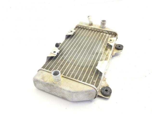 HONDA FORZA 250 RADIATORE 2005 2007 - Foto 6