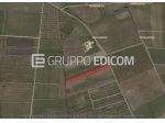 Terreno di 3750 mq  in vendita a Salice Salentino - Rif. 4540536