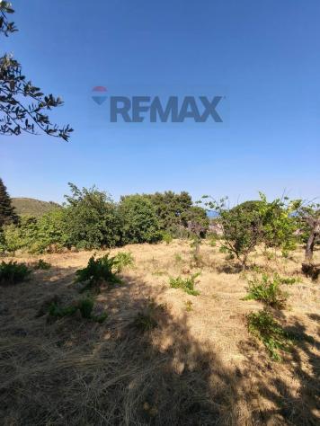 Terreno Edificabile in vendita a Trecastagni - Foto 16