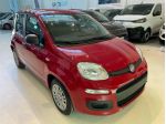 FIAT Panda 1.0 FireFly 70cv S&S Hybrid Icon