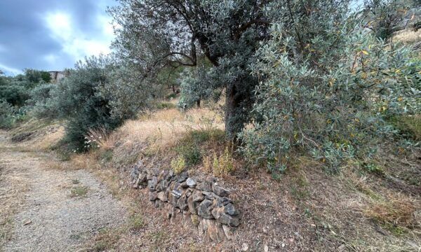 CASALE CON TERRENO IN CAMPAGNA - Foto 6
