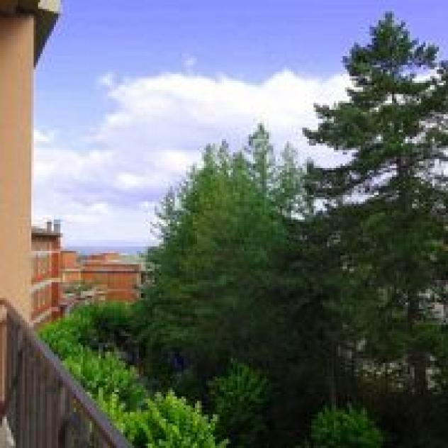 To.Mu. S.r.l. in Liquidazione