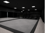 AFFITTO SALA CORSI PALESTRA