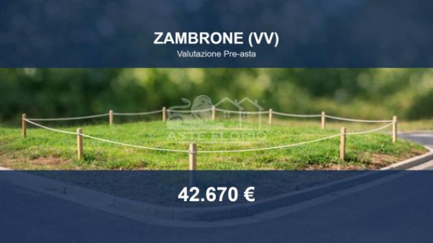Immobile in asta di 21880 m² in vendita a Zambrone