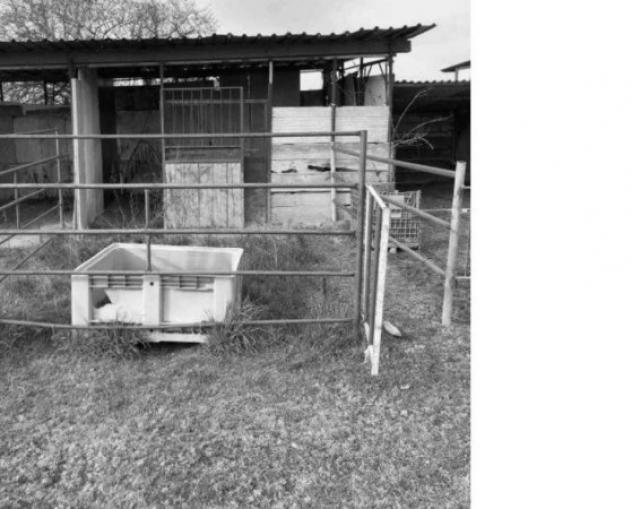 Immobile in asta di 13857 m² in vendita a Torre de' Negri - Foto 2