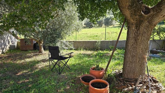 Terratetto in vendita a Guardea - Foto 5