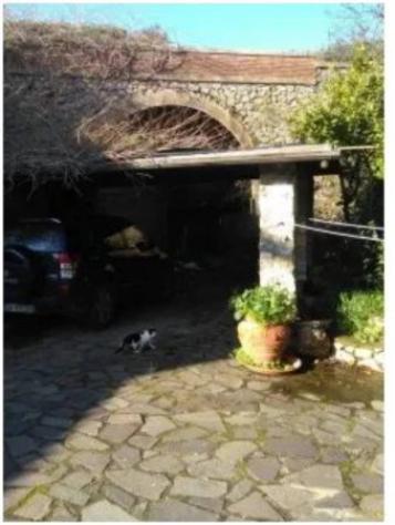 Immobile in asta di 162 m² con più di 5 locali in vendita a Monte Argentario - Foto 6