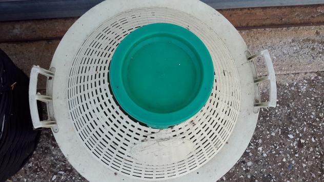 Due fiasche, una per olive - Foto 5