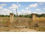 Terreno agricolo con progetto approvato  occasione unica
