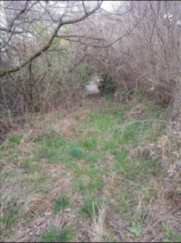 Immobile in asta di 8923 m² in vendita a Rovereto - Foto 3