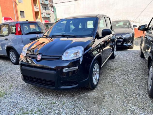 FIAT Panda 1.0 FireFly S&S Hybrid rif. 21263728
