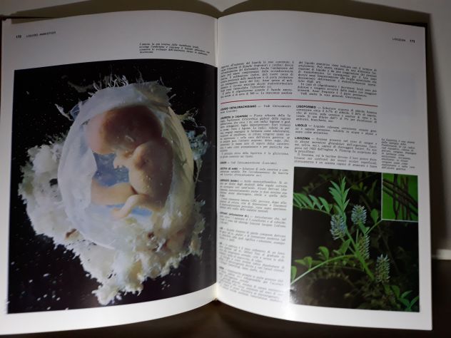 Enciclopedia Medica - Foto 2