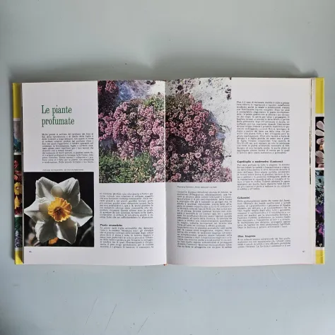 Terrazze e Giardini - Guida Pratica al Giardinaggio - European Book - 1991 - Foto 2