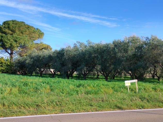 Terreno agricolo in agro, San Cassiano (le) - Foto 2