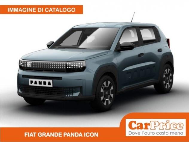 FIAT Grande Panda 1.2 100CV Icon + Pack Tech rif. 23975979