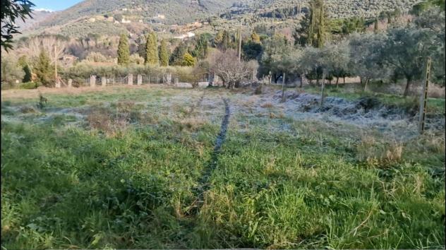 TERRENO AGRICOLO di 10000 mq (CAMAIORE - pieve di camaiore) rif. 1001 - Foto 3