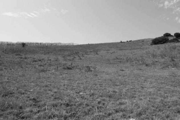 Immobile in asta di 77768 m² in vendita a Collesano - Foto 6