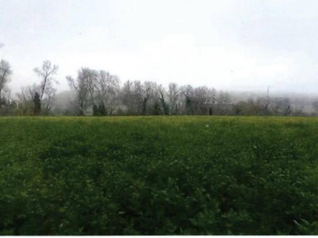 Immobile in asta di 70800 m² in vendita a Orte - Foto 2