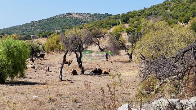 Rif. 9789 - Rustico nella campagna Ragusana - Foto 18