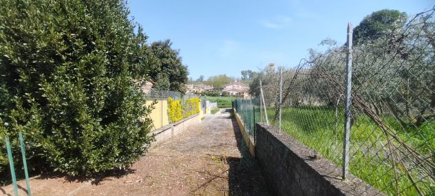 Laurentina - Monte Migliore 2 terreni (Edificabile e agricolo). Imperdibili !!! - Foto 9