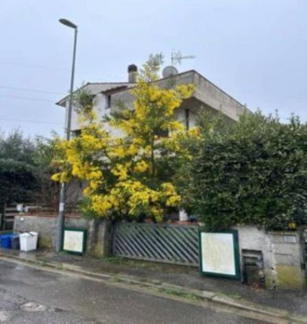 Immobile in asta di 196 m² con più di 5 locali in vendita a Bientina - Foto 5