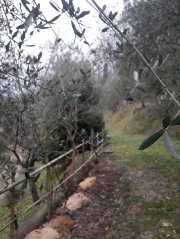 Casa singola in vendita a Fivizzano 105 mq Rif: 874219 - Foto 5