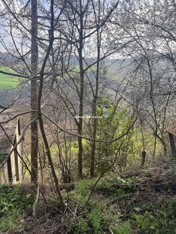 FARNETO VENDESI CASA SINGOLA CON DUE ETTARRI DI TERRENO AGRICOLO - Foto 18