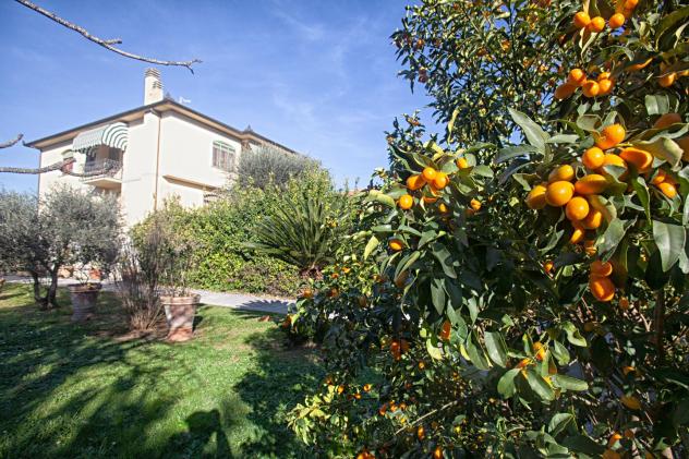 Villa in vendita a Pontasserchio - San Giuliano Terme 300 mq Rif: 1246113