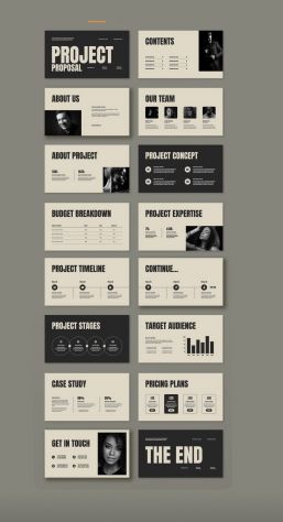 REALIZZO PROGETTI CANVA ( curriculum, locandine, presentazioni ecc…)