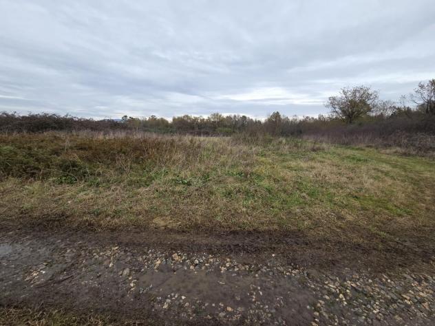 Terreno agricolo in vendita a Orentano - Castelfranco di Sotto 5000 mq Rif: 1383545 - Foto 2