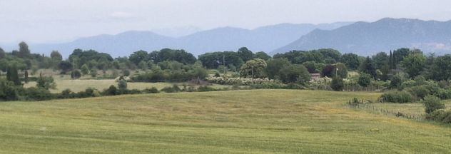 Terreno agricolo di 2 ettari