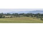 Terreno agricolo di 2 ettari