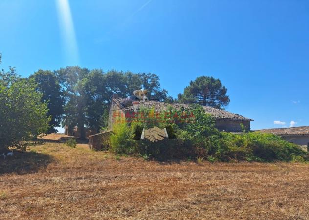 Lubriano - Sul confine tra Orvieto e Lubriano, casale con annessi e 11 ha di terreno in vendita. - Foto 4