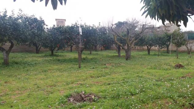 V1612 - In vendita a Marsala casa con terreno lato Mazara - Foto 6