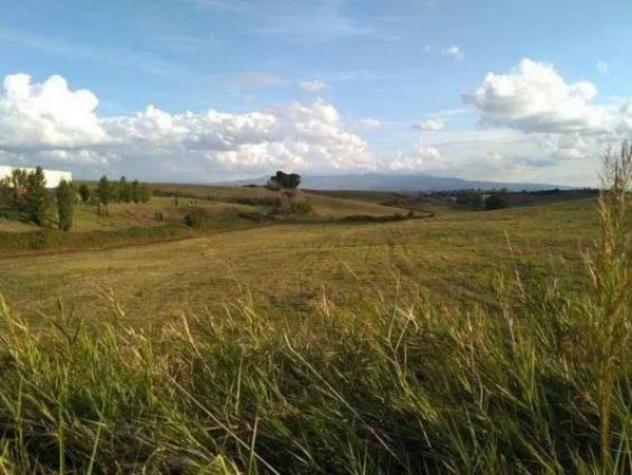 Immobile in asta di 281311 m² in vendita a Guidonia Montecelio - Foto 19